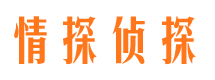 游仙市婚外情调查